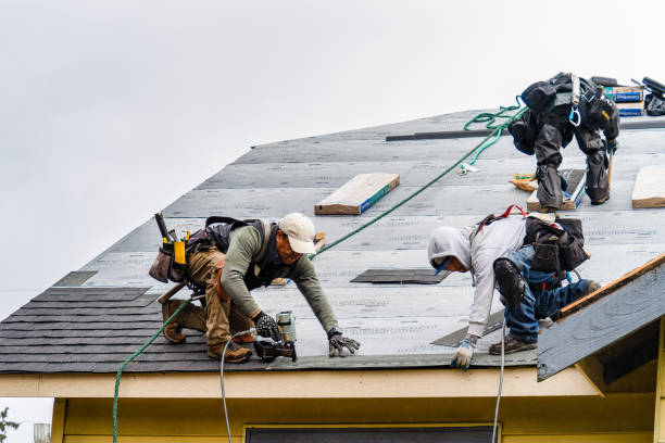Professional Roofing technician working in Hiram, ME